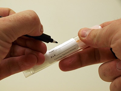 FOODTEST - azonosító adatok megadása